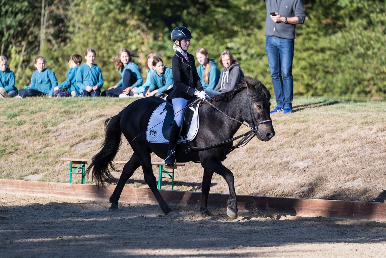 Bild 62 - Pony Akademie Turnier